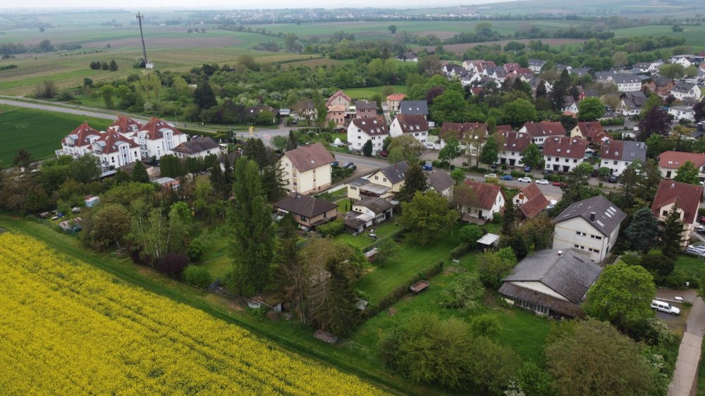 Bild Neubau Häuser Am Küchelberg Gau-Bischofsheim