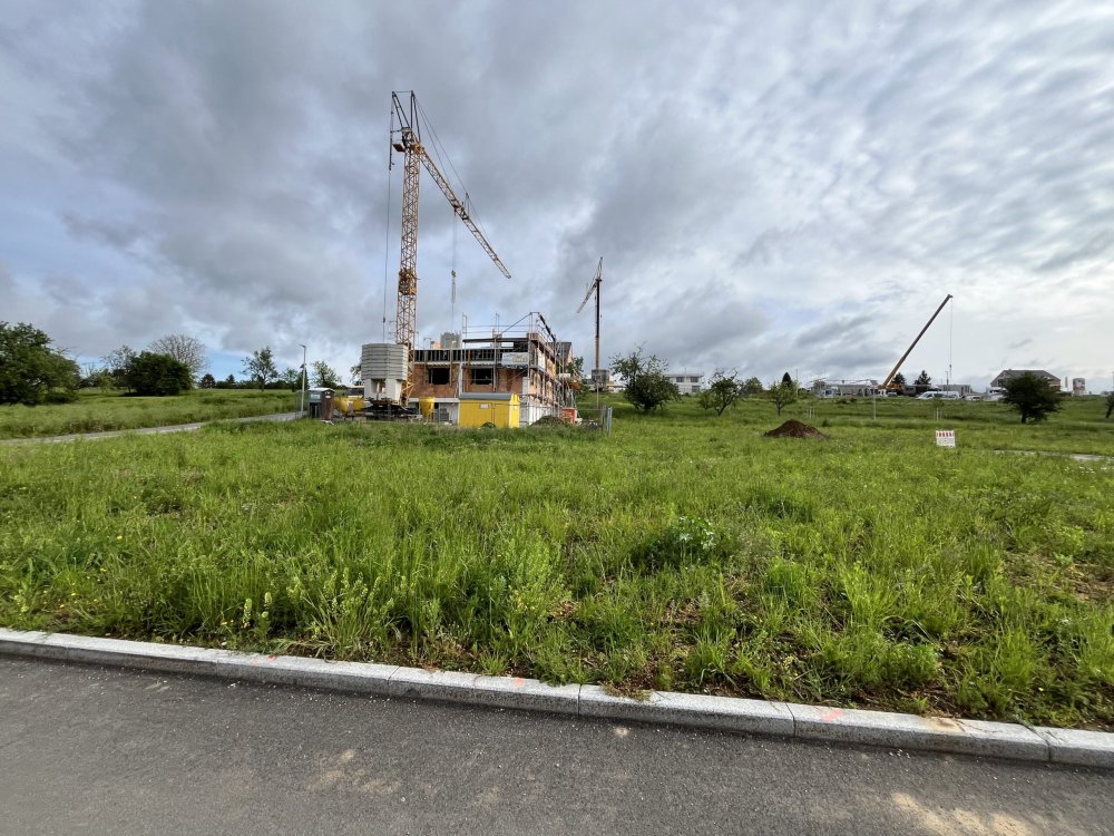 Bild Neubau Häuser Bodelshofener Straße Wendlingen am Neckar