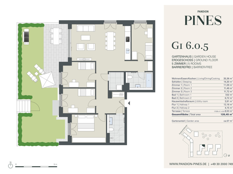 PANDION PINES - G1 6.0.5